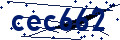 Beveiligingscode