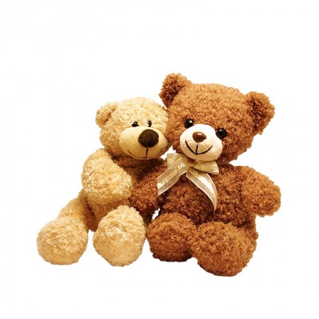 Combo 2 teddy bear
